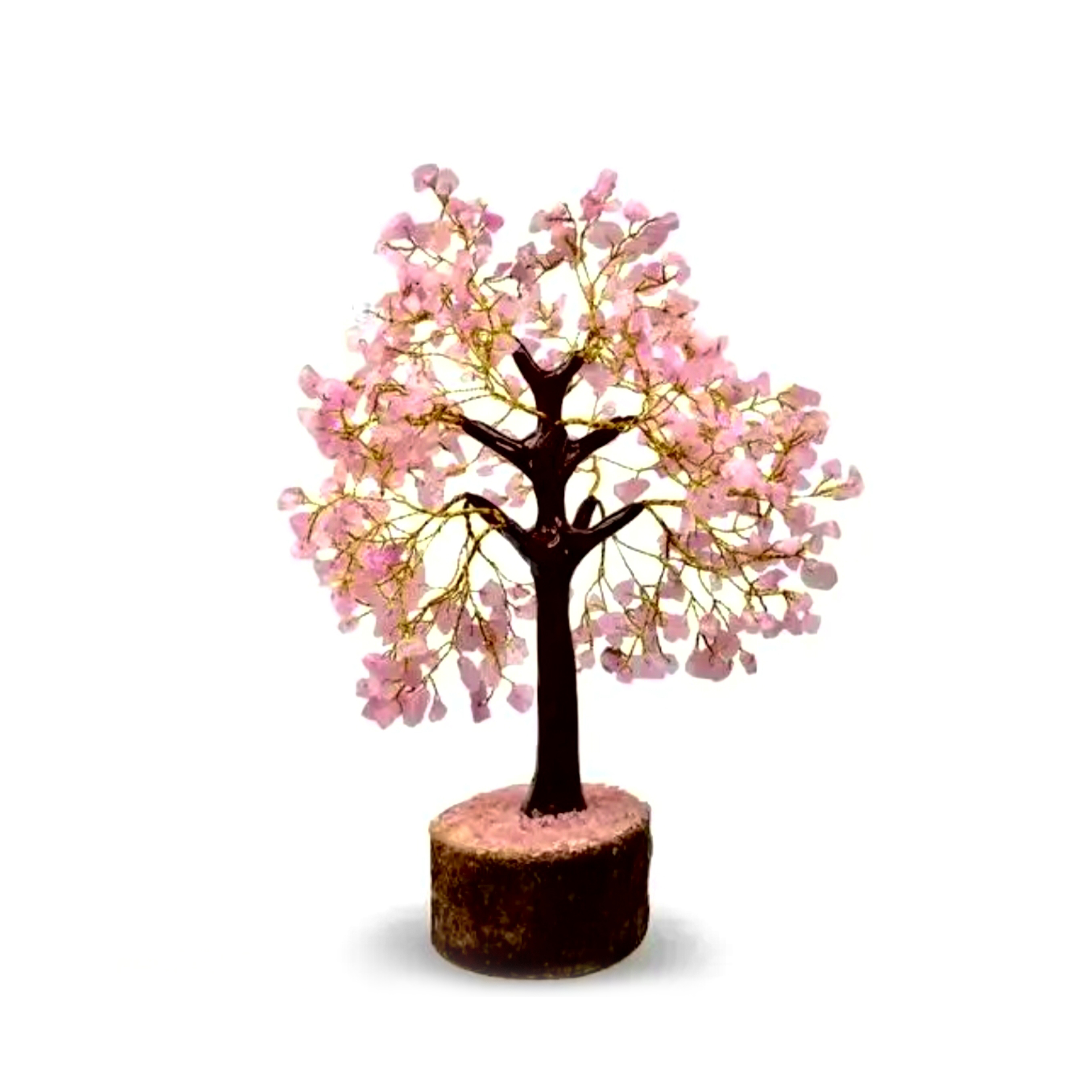 shop_product